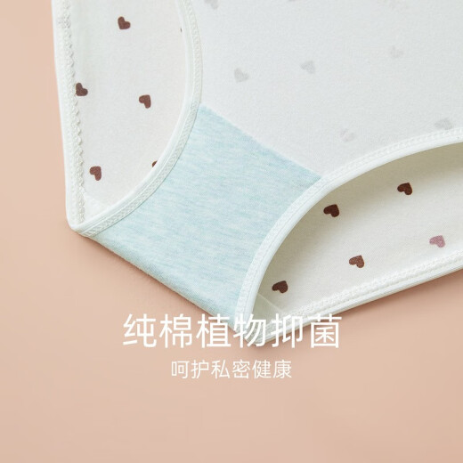 红豆（Hodo）女士印花内裤抗菌中腰少女蕾丝可爱甜美女生三角裤裤头4条装 告白小熊（724组合九） 175