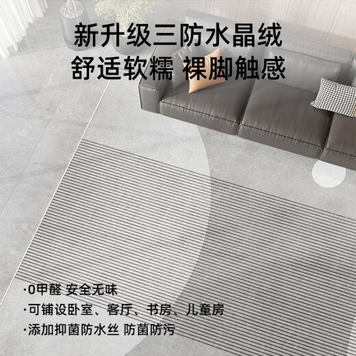 山头林村地毯客厅2024新轻奢沙发地垫免洗可擦房间卧室家用茶几毯厚 现代9666 1件 240*300CM(定制款 不退不换)