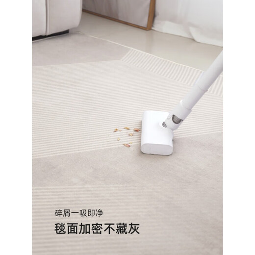 Tianjin Cui Huangkou Carpet Living Room Sense 2024 Mat de canapé de luxe léger Pas de ménage lavable et en caoutchouc imperméable Qing Qing 13566 180cm * 250cm sans soin