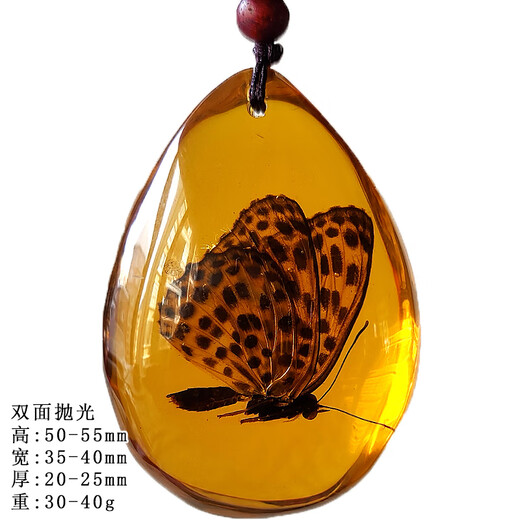DL 1998 Fat Dong Lai quality insect specimen amber pendant, natural butterfly insect amber necklace with insect animal pendant, double-sided polished, gold amber butterfly, with lanyard