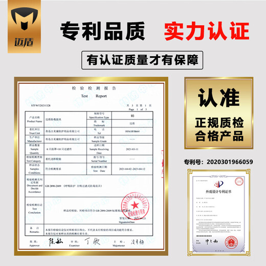 迈盾 毒霸防毒面具防甲醛喷漆防尘口罩面罩电焊农药化工粉尘活性炭装修硅胶防护面罩 602P标准版 701P套装【小号】
