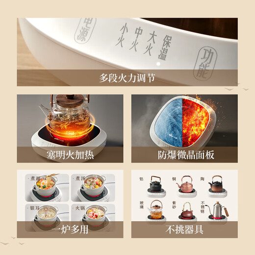 Bear Mini Electric Ceramic Stove Tea Stove Tea Maker Stove Healthy Black Tea Scented Tea Brewing Tea Steamer ZCQ-P12H5