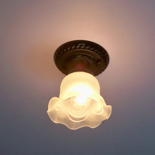 Micro European single-head small ceiling lamp, balcony aisle, entrance lamp, kitchen and bathroom lamp, cloakroom lamp, wrought iron ceiling LED lamp, small kapok ceiling lamp with 5 watts