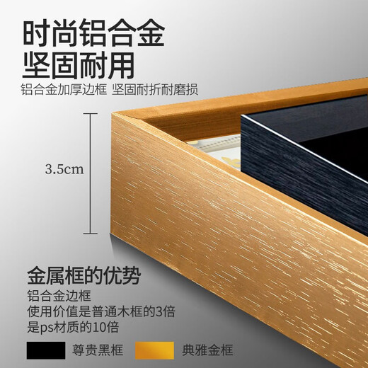 画中画鸿运当头树木装饰画客厅沙发背景东墙挂画枫叶黄金大道自然风景画 鸿运当头-紫气东来L3294 240x100厘米【金色框】