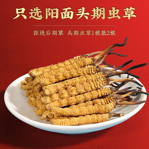 
Gift box Cordyceps sinensis gift box Cordyceps 2 1 gram dry goods Cordyceps gift nourishing quality gift box Nagqu diamond grade Cordyceps 100 pieces 2 1 gram