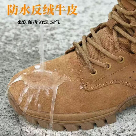 际华三五零五新式棕色作战靴男作战鞋超轻训练靴耐磨高帮侧拉链真皮沙漠登山鞋 棕色作战靴 【高配牛皮款】 42 =260【正品牛皮 两双鞋垫】
