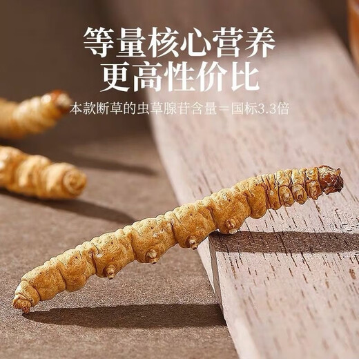 Xueyuantang cordyceps sinensis целый насекомые сломанная трава Аутентичные Cordyceps Выбранные тонические продукты Плато Cordyceps Целые насекомого китайское лекарственное тонизированное продукты около 0,3 г/корень (целая сломанная трава насекомых)