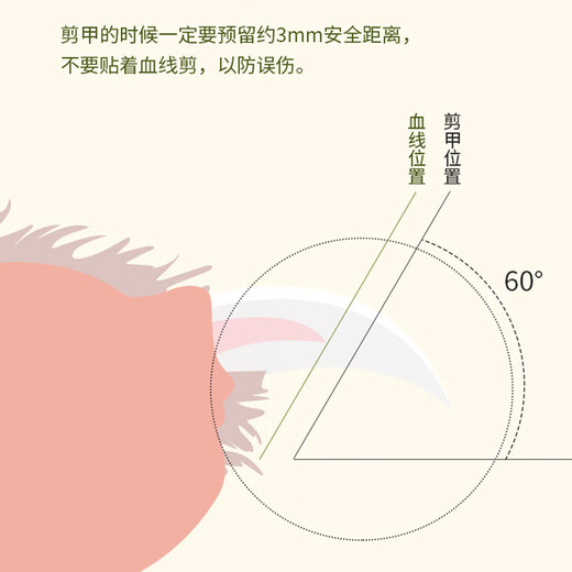 Paike Nail Clippers for Cats, Pets and Dogs, LED Light Teddy Golden Retriever Nail Clipper, Nail Grinding Supplies, Green LED Nail Clipper, Built-in File