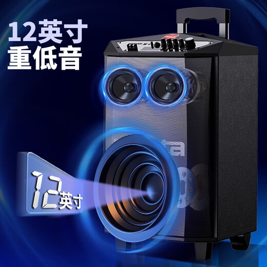 Malata M+9017C outdoor electric acoustic guitar folk singing instrument speaker square dance performance audio wireless Bluetooth home trolley speaker U-section microphone 12 inches