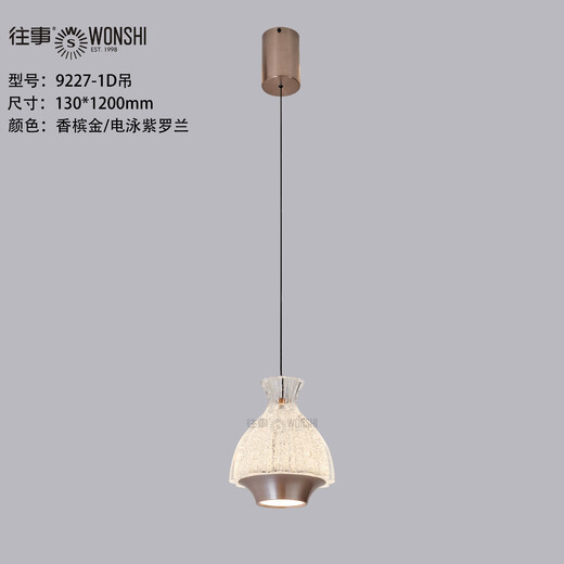 
Past events lighting direct store chandeliers 9227 series modern simple light luxury internet celebrity designer creative eye protection lamps 9227-1D hanging