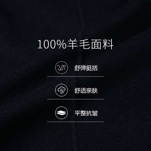 沙驰SATCHI秋冬轻暖双面呢商务男士西服外套男装100%绵羊毛耐皱西服 藏青48
