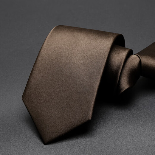 NEWFIE BROWN Men's Tie Retro Coffee Color sólido de alta gama de alta gama Formal Profesional Casual Matrimonio Matrimonio Color de estilo College Coffee Coffee [Zipper Tie + Tie Clip]
