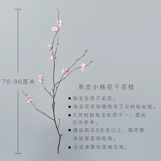 Aesthetic Hacker Handmade Birch Trunks Mountain Twisted Magnolia Branches Bouquet Living Room Decoration Dried Flowers Real Flowers Flower Arrangement Home Interior One Peach Blossom