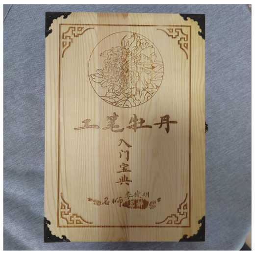 现货 工笔牡丹入门宝典 李晓明  20DVD 中国书店 9787888280175 定价680元