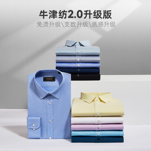 YOUNGOR long-sleeved shirt men's plain DP no-iron shirt cotton fabric comfortable, breathable, flat, anti-wrinkle and easy to care for Lake Blue 41 (175/96A)