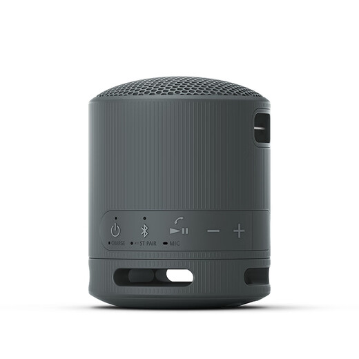 索尼（SONY） SRS-XB100 蓝牙音箱音响 迷你便携 重低音16小时续航 户外音箱 防水防尘黑色