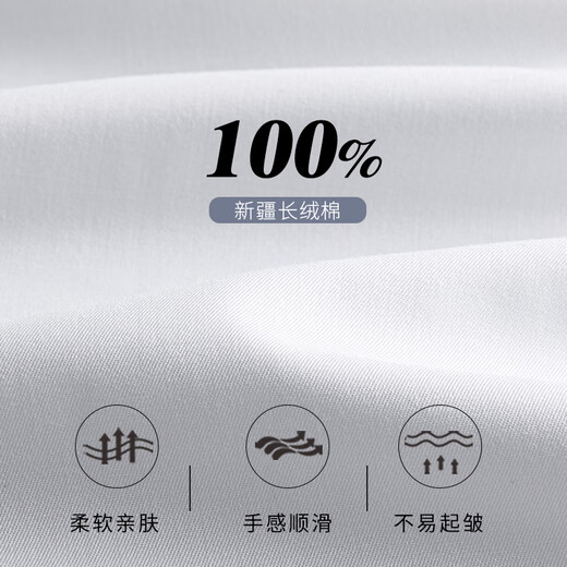 Shanshan DP no-iron 80-count pure cotton long-sleeved shirt men's business casual striped skin-friendly anti-wrinkle men's shirt
