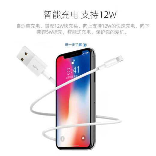 雄晟适用苹果14数据线iphone11快充线13pro手机12速充USB正品8plus单线7p加长2米ipad充电线 一条装【正品USB苹果快充数据线】 0.25米