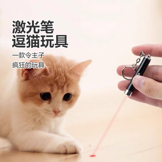 Multifunktionaler Laserlicht -Infrarot -Laserzeiger necken Cat Stick LED kleine Taschenlampe Schlüsselbund Paket 1 Stück Schwarz [Laserpointer]