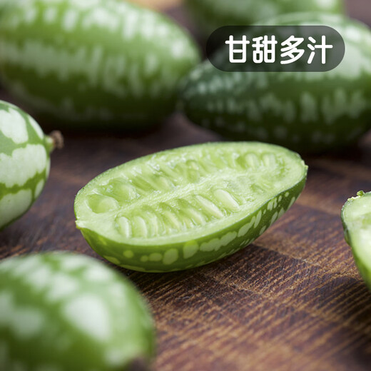 Fengming Yashi thumb watermelon seeds 5 mini vegetable and fruit seeds seedlings balcony four seasons potted organic melon and fruit larvae