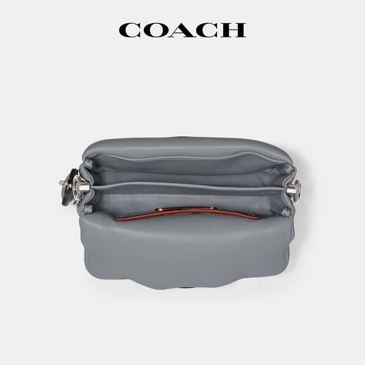 CoaCH (COACH) tabby cloud bag trendy underarm bag one-shoulder crossbody bag C3880 LHN19