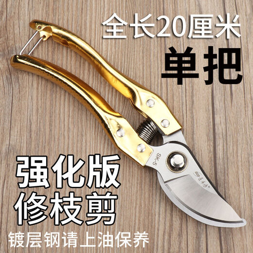 
Pruning scissors grape picking scissors garden fruit tree scissors thick branches flower scissors labor-saving branches flower scissors to prune flowers Boxing Xinnong H De14116 high-end straight scissors