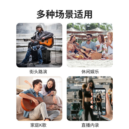 Ellip SE300 audio outdoor karaoke live broadcast internal recording electric blowpipe saxophone guitar singing audio mobile portable high-power Bluetooth stage performance speaker official flagship SE300 forest green + CQA3318 microphone
