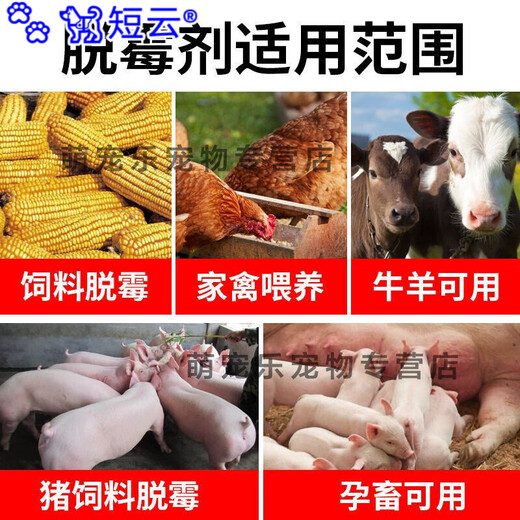 Short cloud veterinary mold remover, sows, cattle and sheep, pregnant animals can be mixed with water for chickens, ducks, geese and pigeons, feed additives, 3 bags of mold remover, 4 bags of real hair
