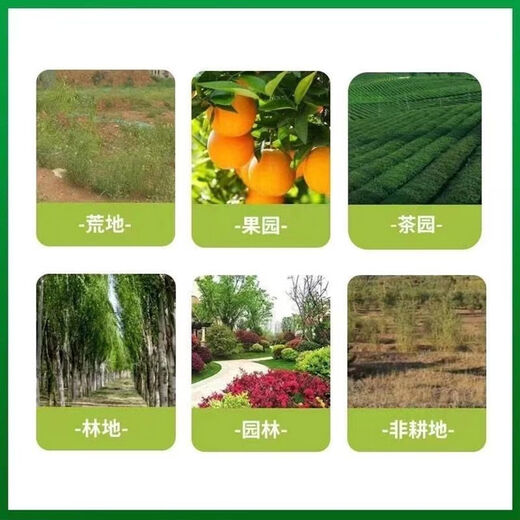Zhaorufeng Sucaofeng high-content resistant cowgrass Xiaofeipeng orchard garden ridge auxiliary organic fertilizer 1000g 2 bottles