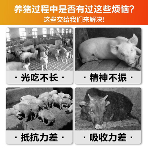 Male herding pig day length fattening pig fattening and weight gain growth-promoting concentrated feed for piglets to be released early and fattening premix for large pigs 50 bags, real hair 65 bags