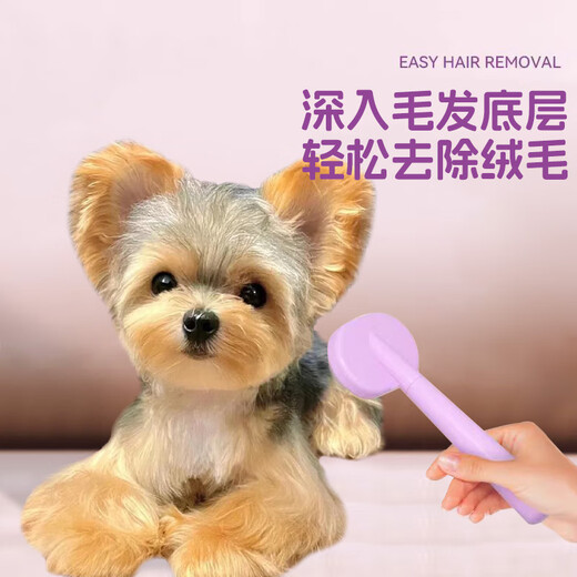 AIBODUO Yorkshire comb special comb for puppies, hair pulling and knotting artifact, needle comb, hair knotting, puppy supplies, green mini needle comb + small face comb