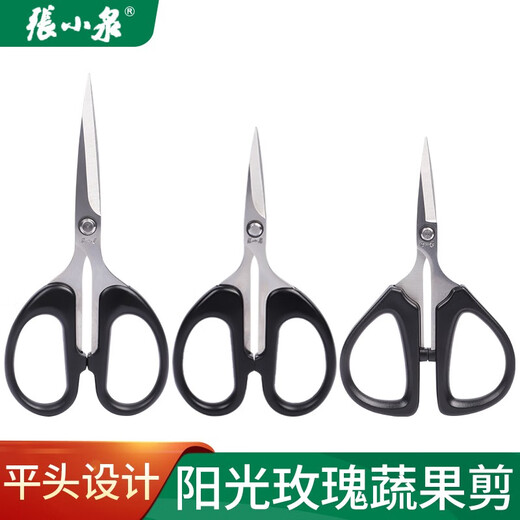 Zhang Xiaoquan's upturned grape fruit branch pruning scissors, fruit thinning, fruit pruning, pepper fruit and vegetable scissors, loquat picking, sunshine roses, Zhang Xiaoquan FL-19 two-color