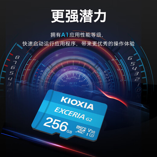 铠侠（Kioxia）256GB TF(microSD)存储卡 G2 系列 U3 A1 V30 行车记录仪&安防监控手机专用内存卡