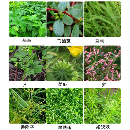 Hedangjia 41% glyphosate isopropylamine salt powerful herbicide garden courtyard orchard railway root rot pesticide 1000g/bottle