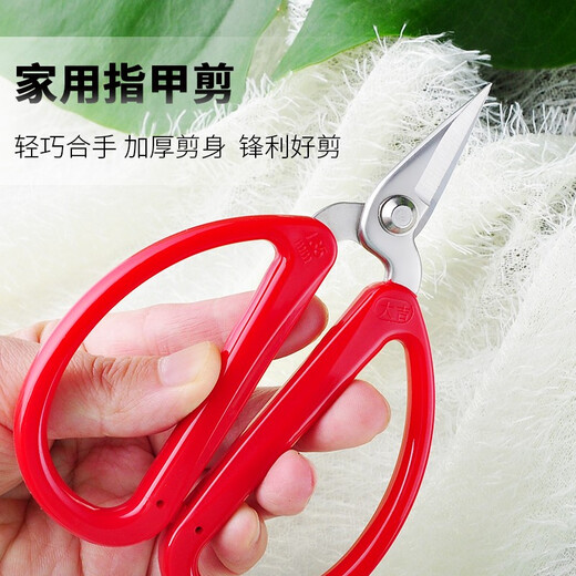 Daji stainless steel scissors, gray thick toenail scissors, electronics factory short head scissors, manicure scissors