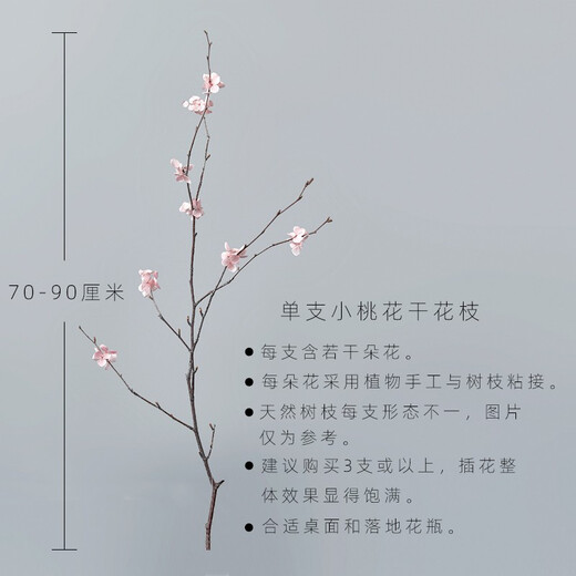 Aesthetic Hacker Handmade Birch Trunks Mountain Twisted Magnolia Branches Bouquet Living Room Decoration Dried Flowers Real Flowers Flower Arrangement Home Interior One Peach Blossom