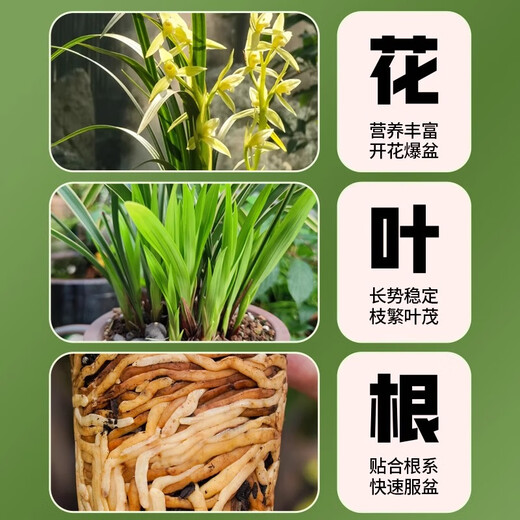 Captain's Garden Orchid Special Soil Clivia Phalaenopsis Planting Material Advanced Orchid Soil Granular Fertilizer High-end Pine Bark Orchid High-end Version 6 Liters (Approximately 5 Jin Jin is equal to 0.5 kg)