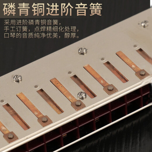 Easttop德国原装进口口琴高级成人24孔专业演奏级28孔复音CAFG调初学者套 24孔 复音银色【12调套装】