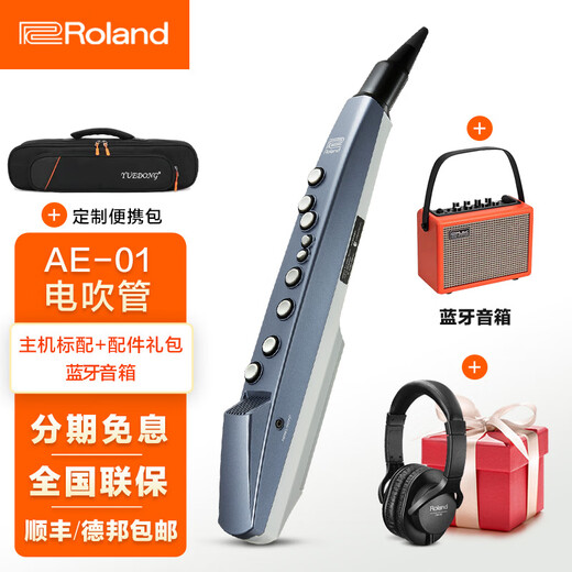 罗兰（Roland）ae01电吹管电萨克斯自带音源民族音色ae05c初学入门电子管乐 罗兰AE01标配+蓝牙音箱+礼包