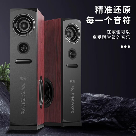 索爱（soaiy）K25家庭影院KTV音响蓝牙电视客厅会议环绕家用卡拉OK低音炮K歌唱歌组合落地音箱 K22家庭KTV音响+双话筒