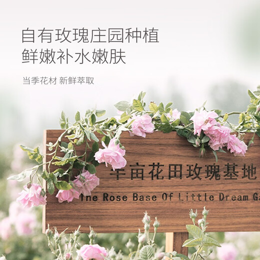 Half an acre of flower fields Chiba rose hydrosol natural hydrating and moisturizing toner essential oil flower bud water hydrosol wet compress moisturizing hydrating rose hydrosol 250ml*2