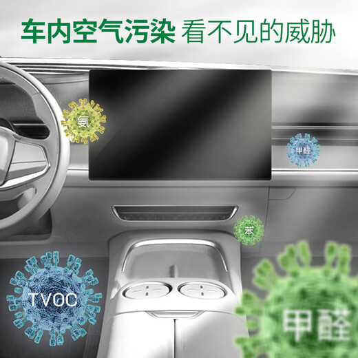 绿之源汽车活性炭包新车除甲醛除异味竹炭包 专用除臭车载净化500g*4包