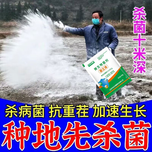 Soil bacteria clear agricultural genuine soil-borne diseases special rapid disinfection, sterilization and resistance to repeated cropping microbial fertilizer 2 bags, early use, early harvest, early harvest