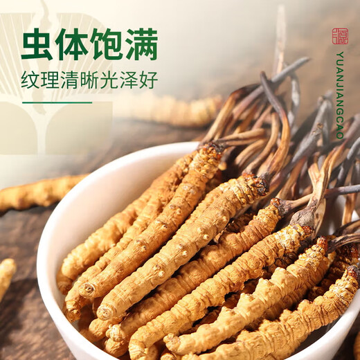 源江草冬虫夏草 新干虫草滋补品送父母长辈滋高端礼盒 3根/g 20克【滋补量装】