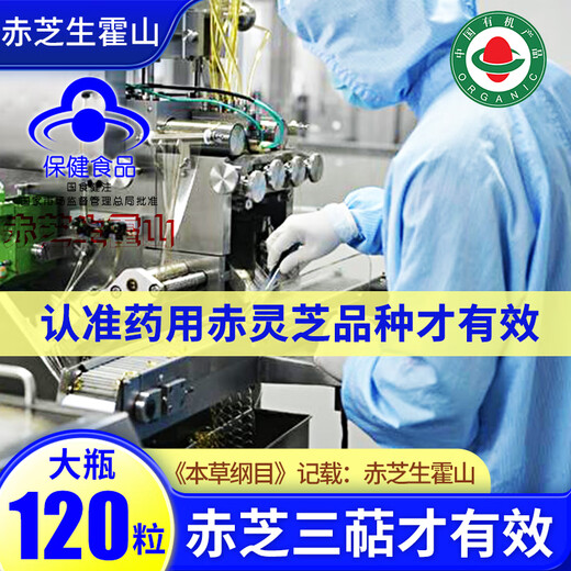 Ganoderma-Sporenöl-Weichkapseln, Bio-Ganoderma-Sporenpulverextraktion von Huoshan, hohe rote Ganoderma-Triterpene, große Flasche mit 120 Kapseln, stärken effektiv die Immunität