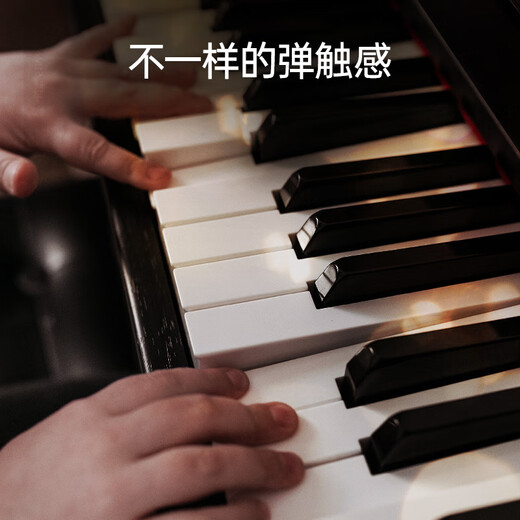 
Hape Children's Early Education Music Enlightenment 30 Keys Vertical Electric Piano Girls and Boys Birthday Gift E0631