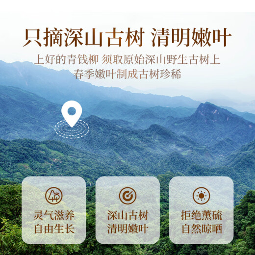 Gongyuan Qingqian Liuye Tea 250g Chinese medicinal raw materials Zhangjiajie ancient tree bud leaves Qianqian Liucheng original leaf tea
