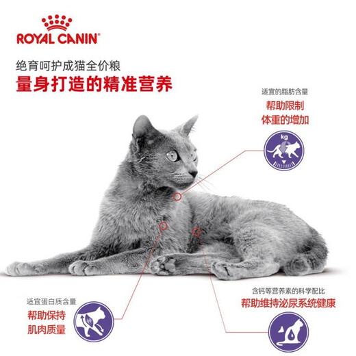 ROYAL CANIN Royal Cat Food SA37 Neuter and Care Adult Cat Food 2kg Neuter and Care Adult Cat Food 2kg