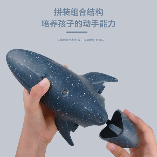 Hua Shimeng simulated remote control shark electric can enter the water and the whale will spray water and swing the giant tooth shark model remote control boat water toy