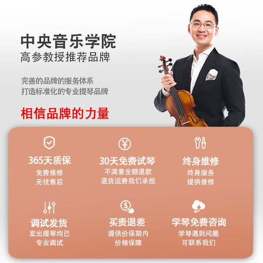 
Christina V04 Handmade Solid Wood Violin Beginner Professional Grade Advanced Children's Adult Musical Instrument 3/4 Matte